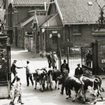 Ingang-van-het-abattoir-omstreeks-1933